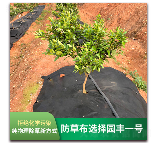 �����x��@�Sһ̖