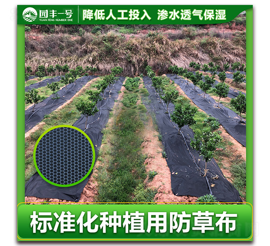 ��(bi��o)��(zh��n)���Nֲ�È@�Sһ̖(h��o)���ݲ�