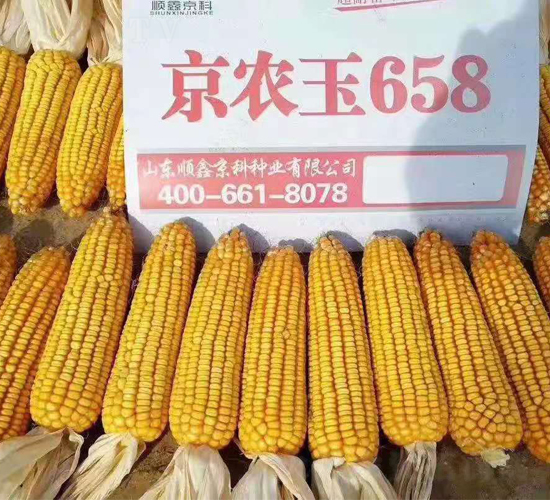 ���r(n��ng)��658-���׷N��-�r(n��ng)�(l��)