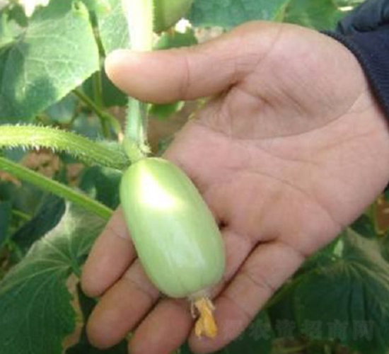 �M(j��n)��Ĵָ�S��-�S�ϷN��-�r(n��ng)֮��(r��n)