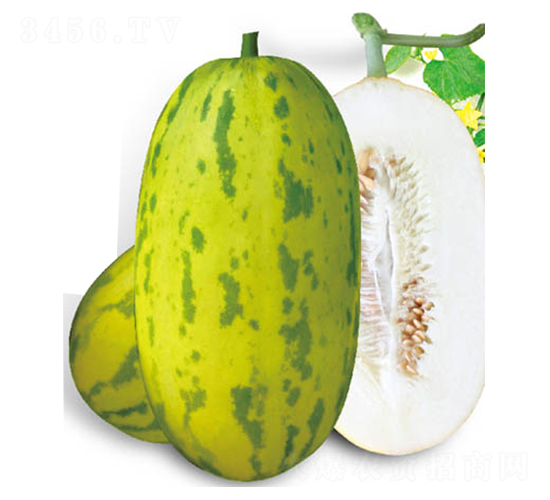 ���������-��ϷN��-�߶˷N�I(y��)