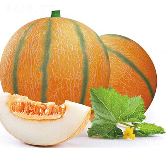 �S�����-��ϷN��-�߶˷N�I(y��)