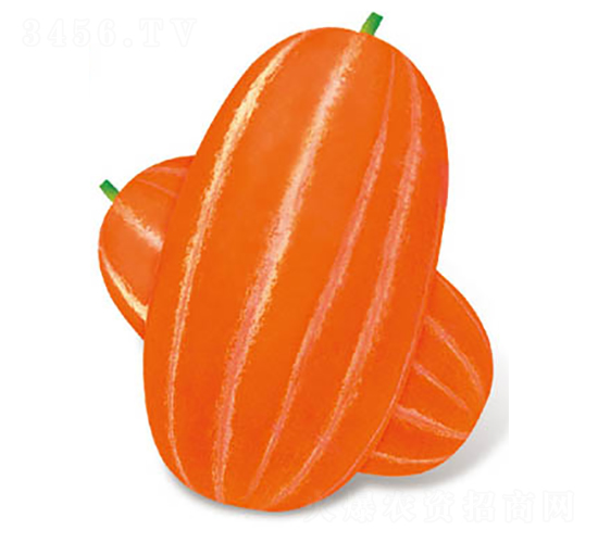 ���o(j��)����һ̖(h��o)���-��ϷN��-�߶˷N�I(y��)