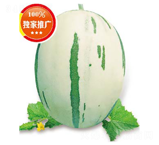 �G��(M15)-��ϷN��-�߶˷N�I(y��)