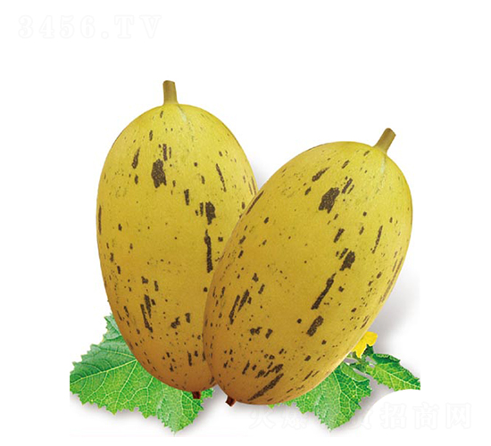 �Ҹ�������-��ϷN��-�߶˷N�I(y��)