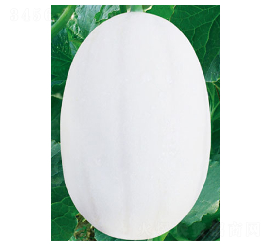 �|����1̖-��ϷN��-�߶˷N�I(y��)