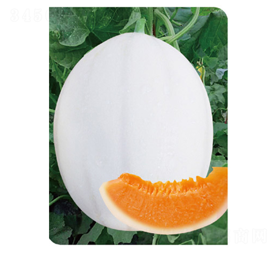 ��Ʒ�|����1̖(h��o)-��ϷN��-�߶˷N�I(y��)