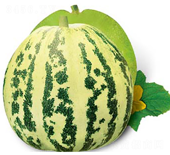 ������-��ϷN��-�߶˷N�I(y��)