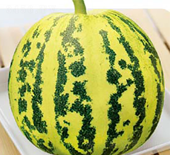 ���ٴ���-��ϷN��-�߶˷N�I(y��)