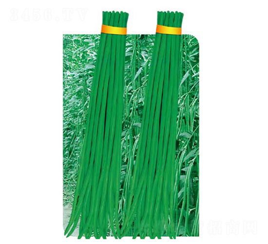 ����(j��)�L(zh��ng)��-���ǷN��-�߶˷N�I(y��)