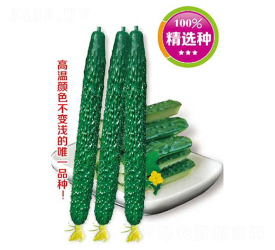 픃�(y��u)�����߮a(ch��n)��-�S�ϷN��-�߶˷N�I(y��)