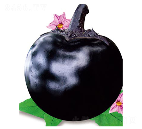 ������-���ӷN��-�߶˷N�I(y��)