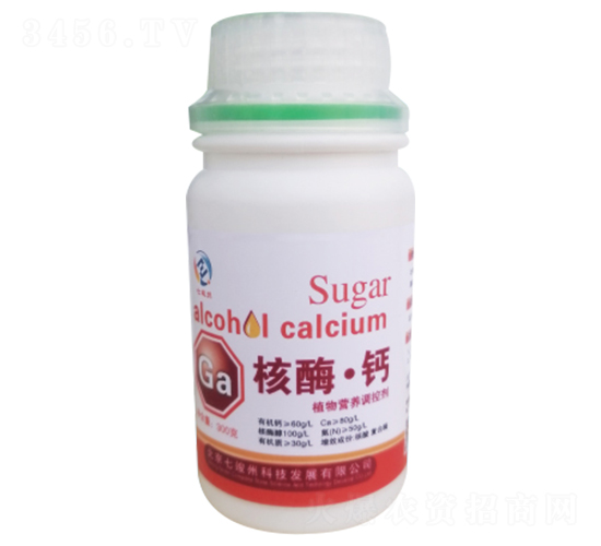 ��ø���}-�߿���