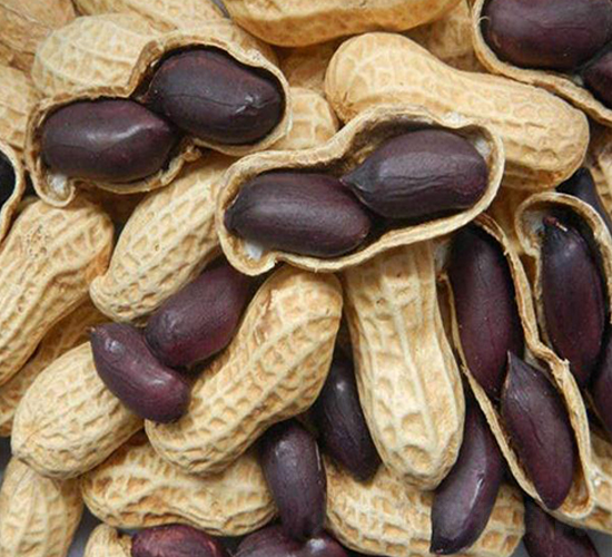 �����ڻ���-�����N��-��T�S�r�I(y��)