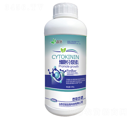 ��(x��)��������-���R-ؐ������