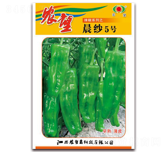 ����5̖-�ݽ��N��-�r(n��ng)��