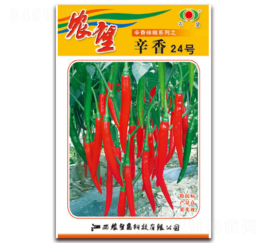 ����24̖-�⽷�N��-�r��