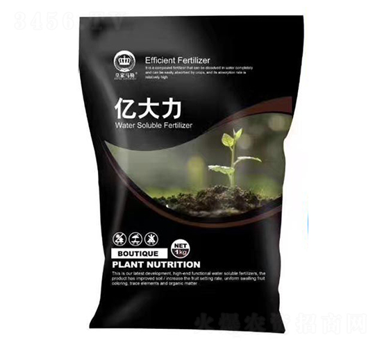 �VԴ�S�����-�|����-�{(l��n)��ʯ