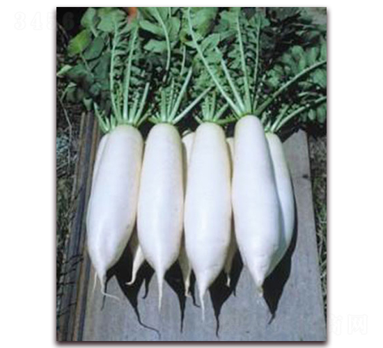 ���°�-����}���N��-���r(n��ng)���v