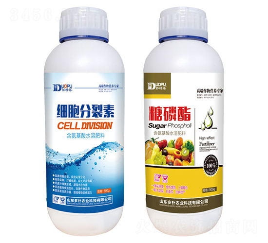 ����������+������-�����Ƽ�