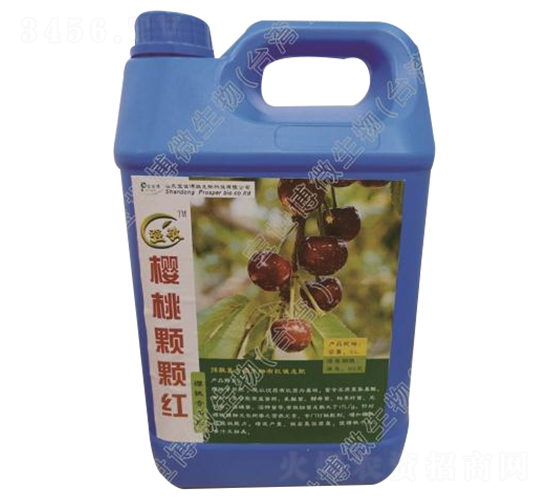 ���Ҍ���Һ�w��-�����w�w�t-������