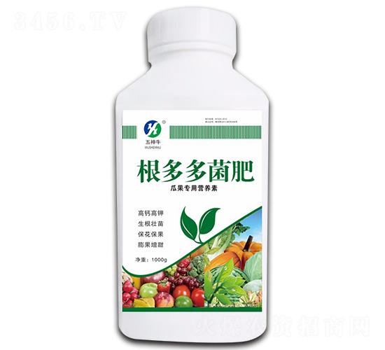 ��������-����ţ