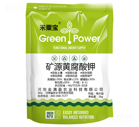 �VԴ�S�����-���ڌ�-��Mӯ