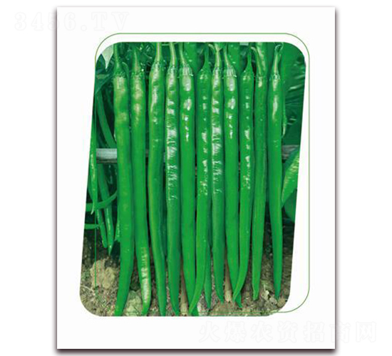 ����66-�����N��-����(y��u)�r(n��ng)�I(y��)