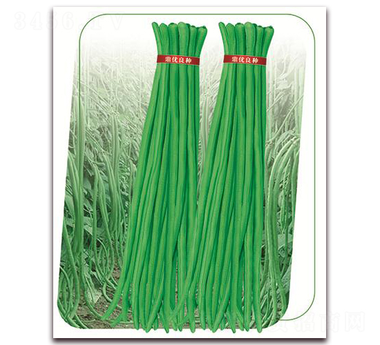 ����3̖-�����N��-����(y��u)�r(n��ng)�I(y��)