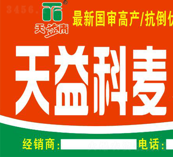 �������5̖(h��o)-С���N��-�A��