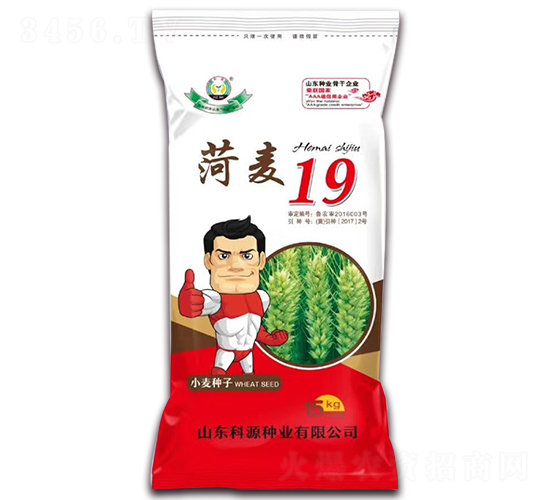 ����19-С���N��-��Դ�N�I(y��)