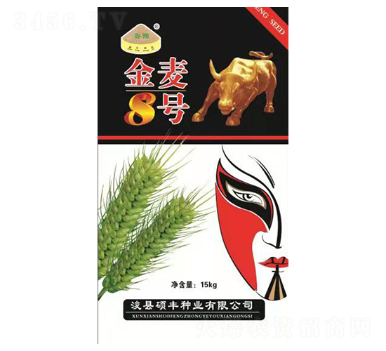 ����8̖(h��o)-С���N��-�T�S