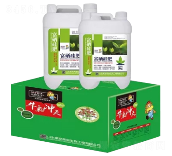 �������-�S�����B(t��i)