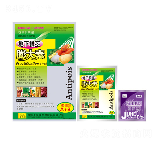 ���������-ʥ�ϝ�(r��n)