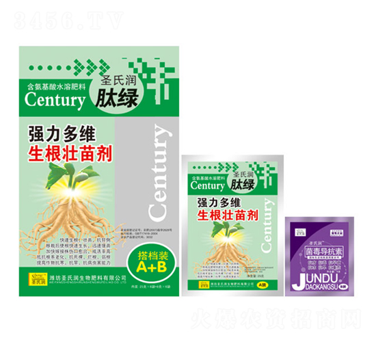 ������S�������焩����n�bA+B��-ʥ�ϝ�