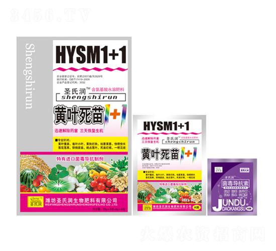 �S�~����1+1-ʥ�ϝ�(r��n)