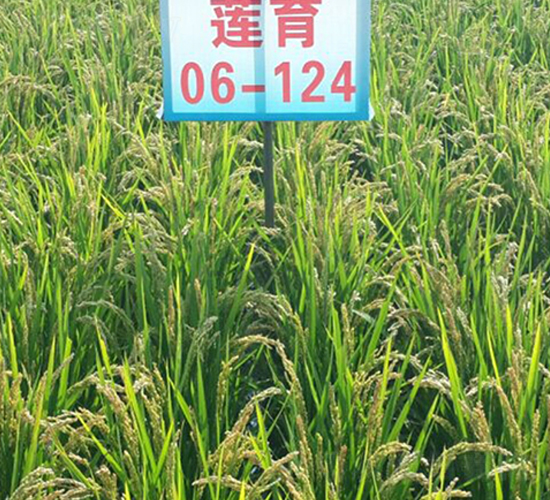 ɏ��06-124-ˮ���N��-ɏ�R�r(n��ng)�I(y��)