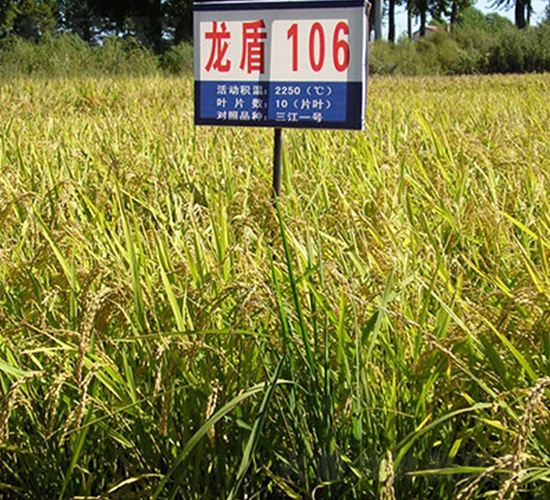 ����106-ˮ���N��-ɏ�R�r�I(y��)