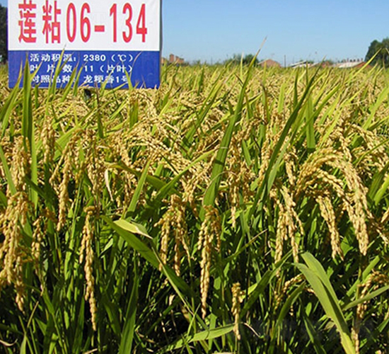 ɏճ06-134-ˮ���N��-ɏ�R�r(n��ng)�I(y��)