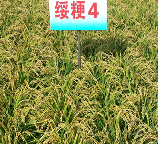 ����4-ˮ���N��-ɏ�R�r�I(y��)