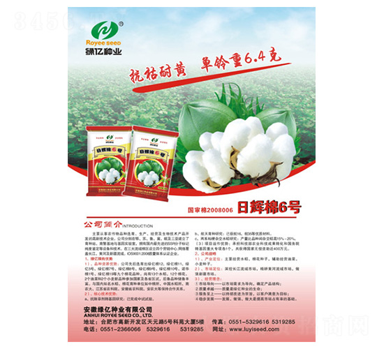 ���x��6̖(h��o)-�G�|�N�I(y��)