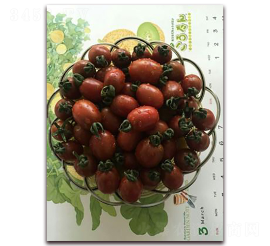 ��С��-���ѷN��-���\�N��