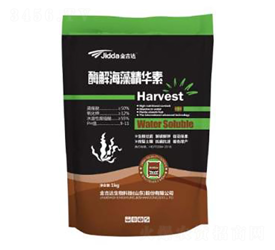 ø�⺣�徫�A��-���_