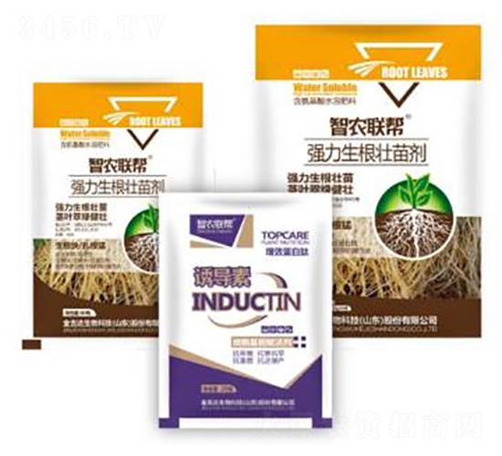 �������焩-���_(d��)