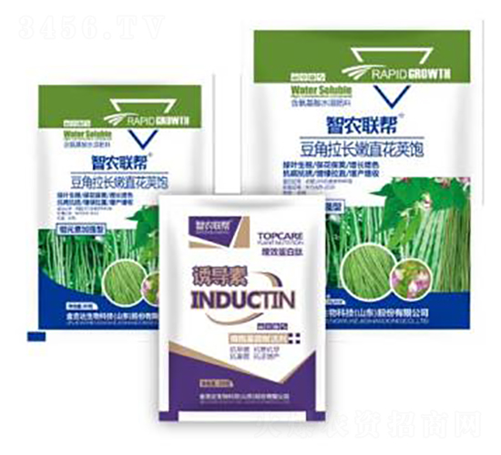 �������L��ֱ���v�-���_