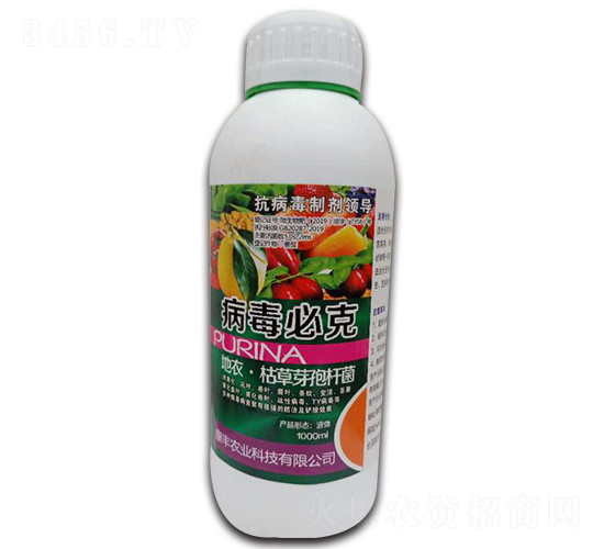 �����ؿ�-���S�r(n��ng)�I(y��)