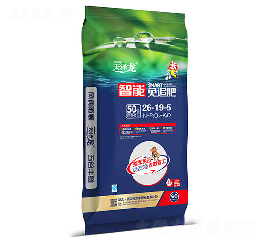 ������׷��26-19-5-�����