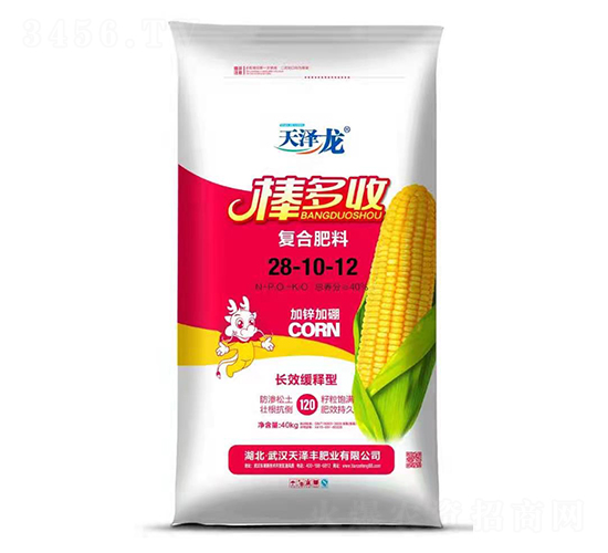 �LЧ����͏�(f��)�Ϸ���28-10-12-������-�����