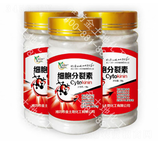 ��(x��)��������-������