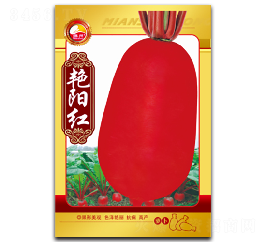 �G�(y��ng)�t-�}���N��-�d�߷N�I(y��)